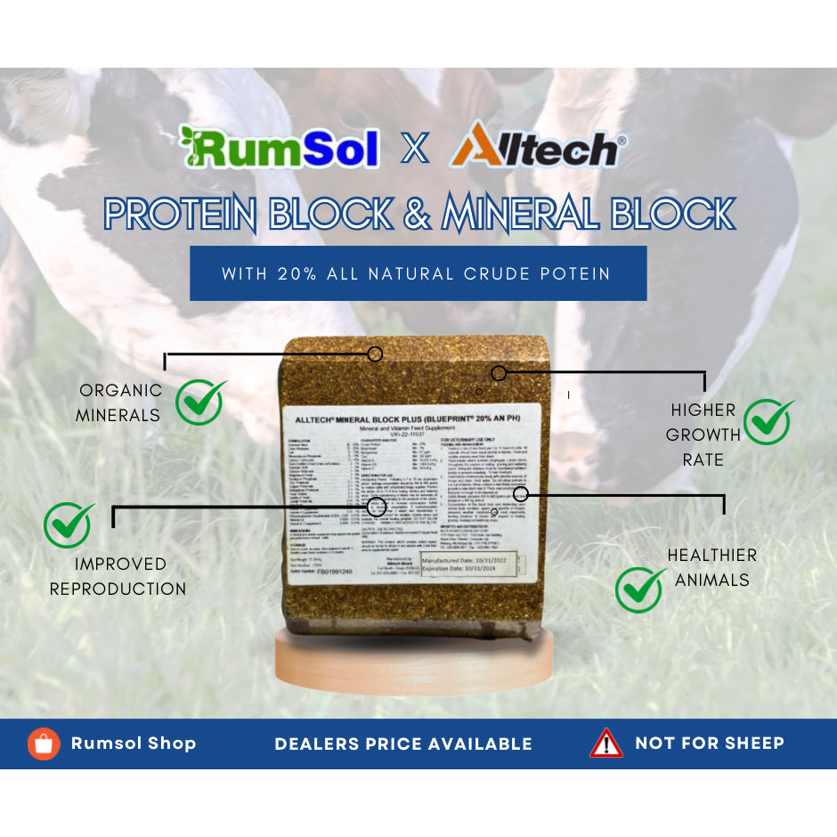 RUMSOL Alltech Protein Block