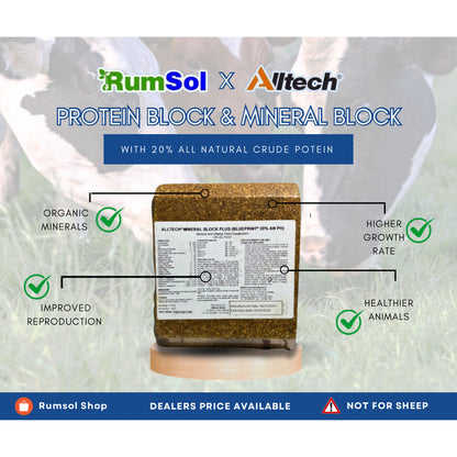 RUMSOL Alltech Protein Block