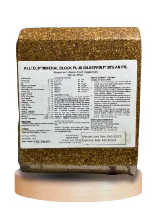 RUMSOL Alltech Protein Block